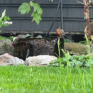 Meet your Posher, James